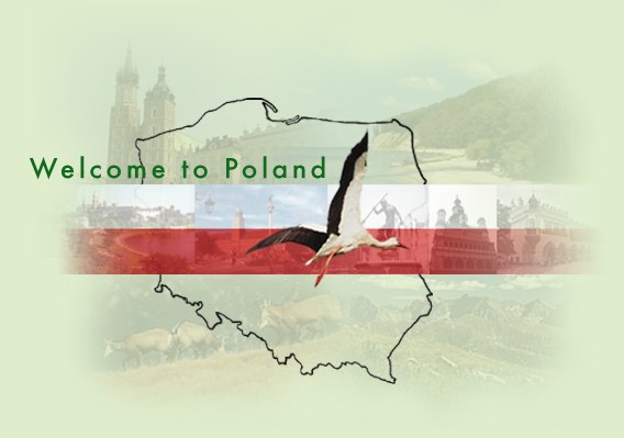 Польша не дала статус беженца никому из обратившихся за ним украинцев