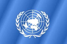 ООН: "Новые украинские законы нарушают права человека"
