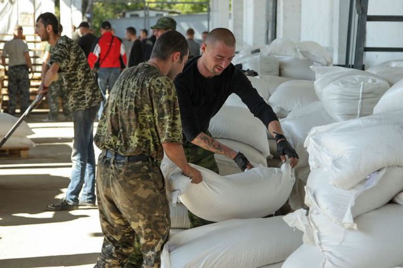 ПАСЕ предрекает серьезный гуманитарный кризис на Украине