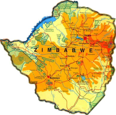 Зимбабве не собирается оправдываться перед Украиной за визит министра в Крым