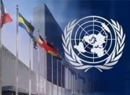 ООН обеспокоена введением электронной системой получения пропусков