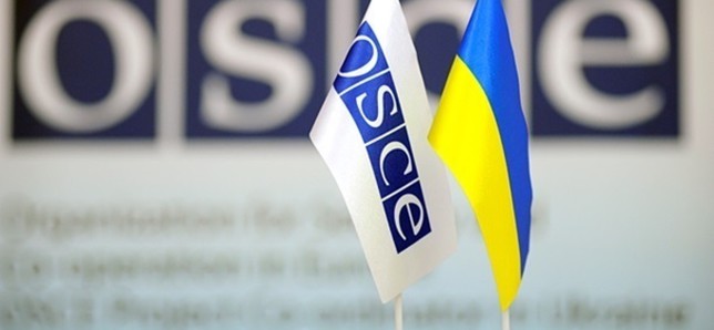 Представитель ОБСЕ выступил против декоммунизации Украины
