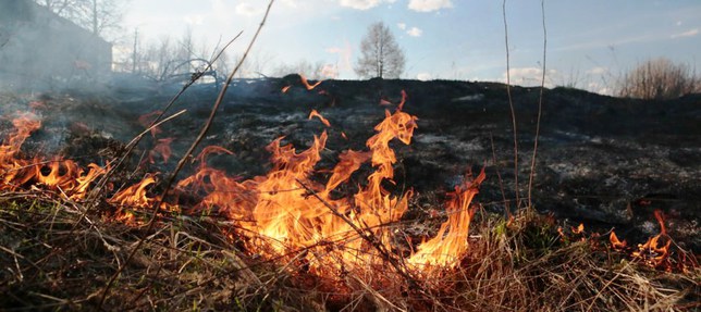 В России усилились лесные пожары