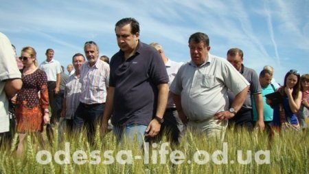 Саакашвили и Собчак посетили село под Одессой