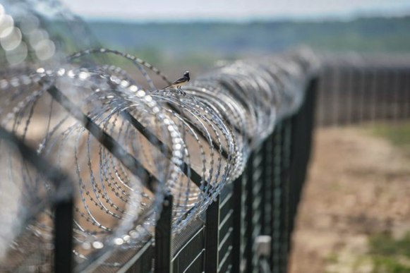 Венгрия начала отгораживаться забором на границе с Сербией