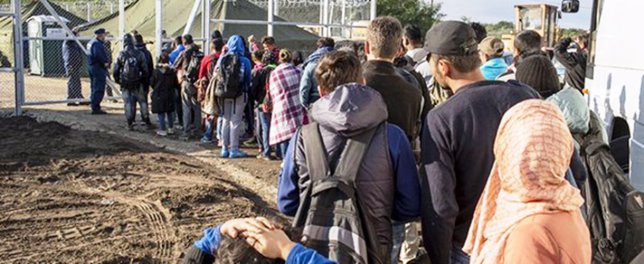 Германия возобновила работу пограничников на границе с Австрией