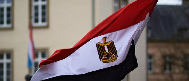 МИД Египта высказался в поддержку операции России в Сирии