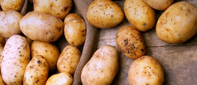 В ЛНР завезли белорусский картофель по 14 рублей за килограмм