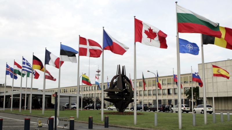 WSJ: НАТО планирует увеличить численность войск в странах, граничащих с РФ