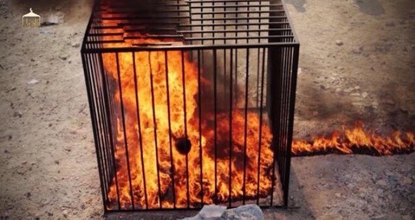 Боевики ИГИЛ заживо сожгли 19 молодых девушек