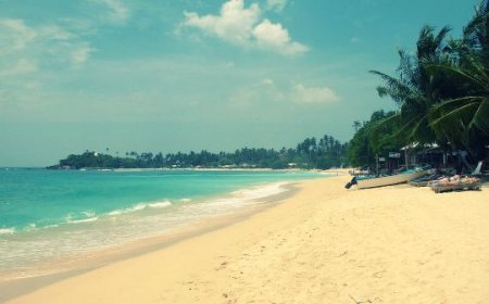 Пляжи Шри-Ланки – обзор лучших пляжей острова