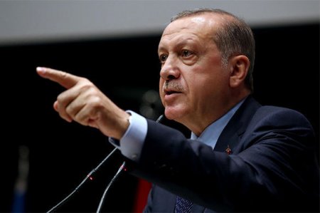 Турция запретила поставки ряд продовольственных товаров из России