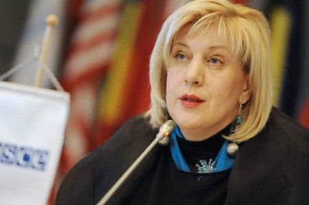 Новым комиссаром Совета Европы по правам человека стала Дунья Миятович