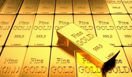 СНБ Армении обнаружила в домах бывших чиновников 200 кг золота
