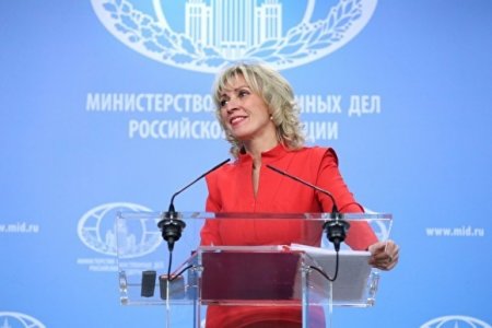 Мария Захарова предложила наказание для провинившихся футболистов