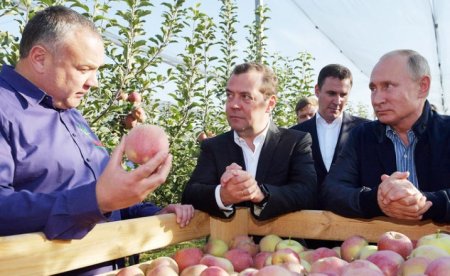 В сопровождавшем Путина в Ставрополье фермере узнали «рейдера и криминального авторитета»