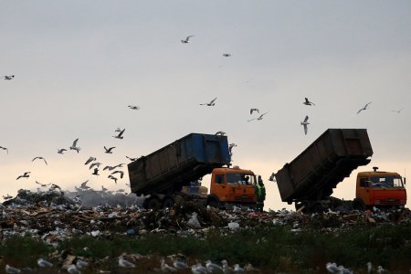 Архангельской области пообещали 10 млрд руб. за прием московского мусора