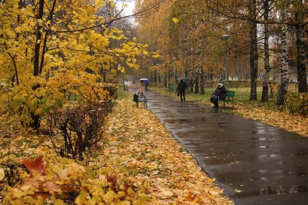 Погода в Москве на сегодня 11 ноября 2018 года 