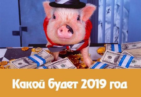 Гороскоп для всех знаков на 2019 год свиньи по годам рождения: что нас ждет в 2019 году 