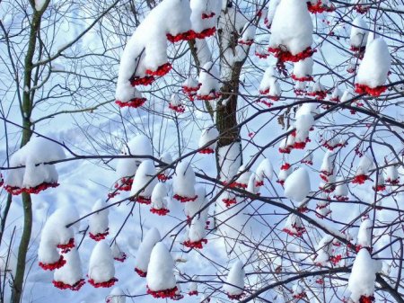 Погода в Москве сегодня 3 декабря 2018: Народные приметы на декабрь 