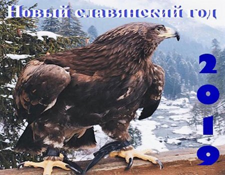 2019 год по славянскому календарю: год какого животного, тотем Парящий Орёл, характеристика 