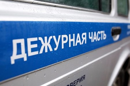 В ГУ МВД РФ по Москве отрицают, что полиция задерживала мать тяжелобольного ребенка