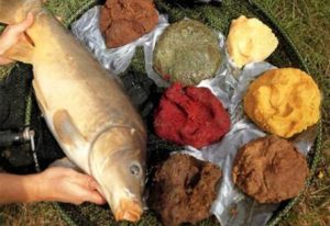 Как правильно прикармливать рыбу на рыбалке