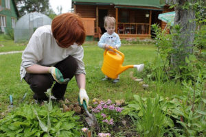Как правильно ухаживать за огородом