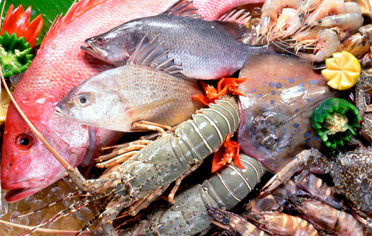 Интернет-магазин Mr. CRAB предлагает широкий выбор морских деликатесов