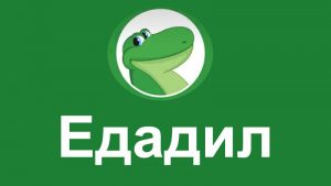 Как получить кэшбек от сервиса Едадил