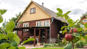 Что пригодится на даче во время летнего проживания