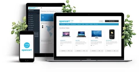 Магазин на Opencart: быстрый старт в сфере электронной торговли