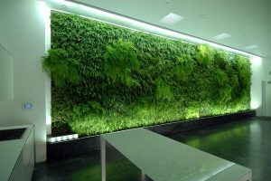 Создание фитодизайна: как продумать особенности и преимущества фитодизайна