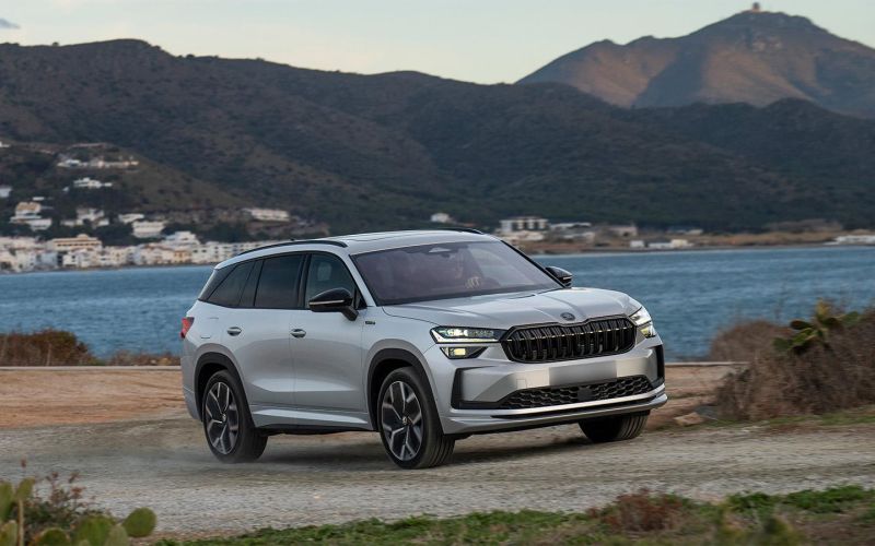 В Россию приехали Skoda Kodiaq казахстанской сборки. Взгляните на цены