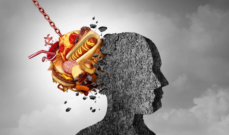 Висцеральный жир старит мозг быстрее всего 