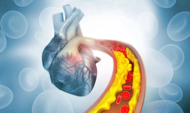 Одноразовая генная терапия навсегда снизит количество липидов в крови 