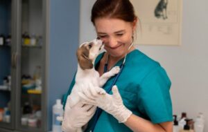 Ветеринарные клиники: услуги, плюсы и польза для вашего питомца