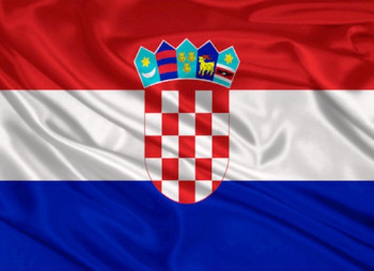 Правительство Хорватии подтвердило присутствие своих наёмников в украинской армии