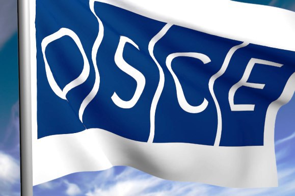 ОБСЕ зафиксировала неотведенное ВСУ вооружение в Донбассе