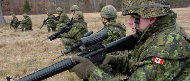 Украинских карателей будут тренировать канадские военные инструкторы