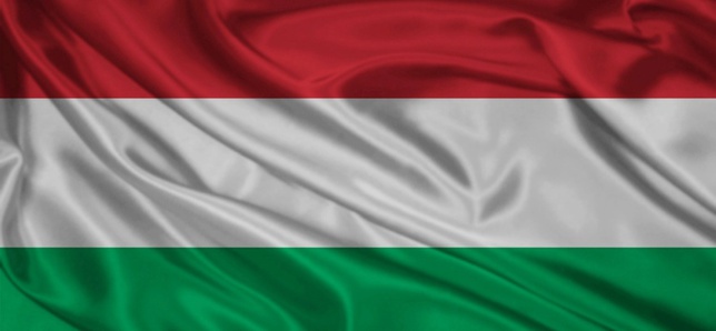 Венгрия усилила границу с Украиной из-за событий в Мукачево