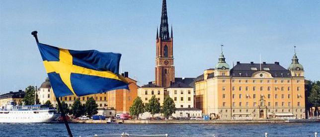 Шведы намерены скрыть информацию о военных преступлениях Украины на Донбассе