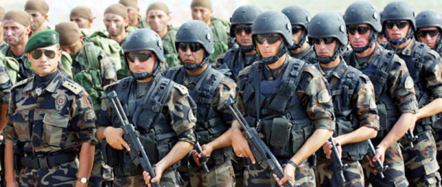 Украина просит турецких военных поддержать татар в атаке на Крым