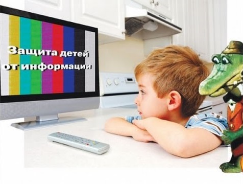 Сегодня в ДНР вступили в силу законы о защите детей от вредной информации и о защите экологии
