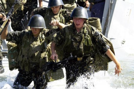 Праздник установили, а праздновать некому: День морской пехоты Украины