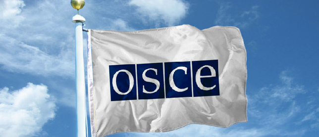В ОБСЕ заявили, что Украина продолжает выводить технику из мест хранения