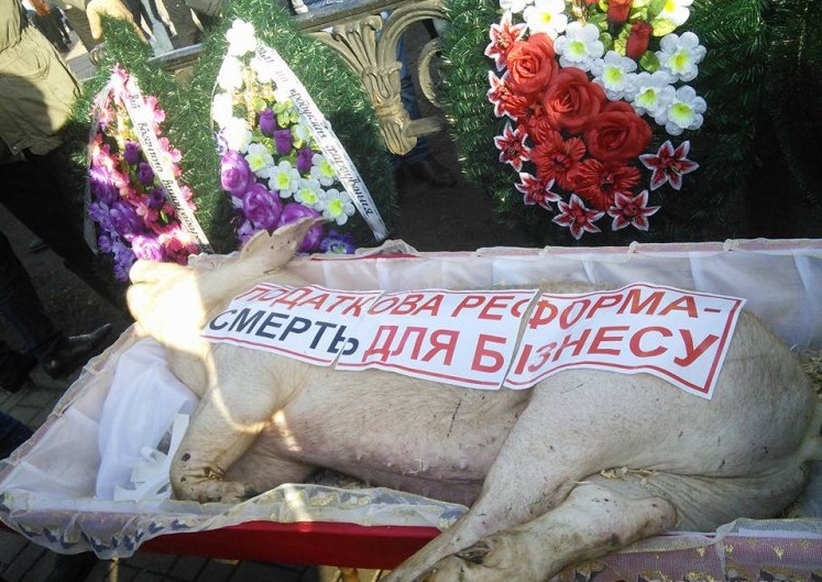 К зданию Верховной рады митингующие принесли гроб со свиньёй