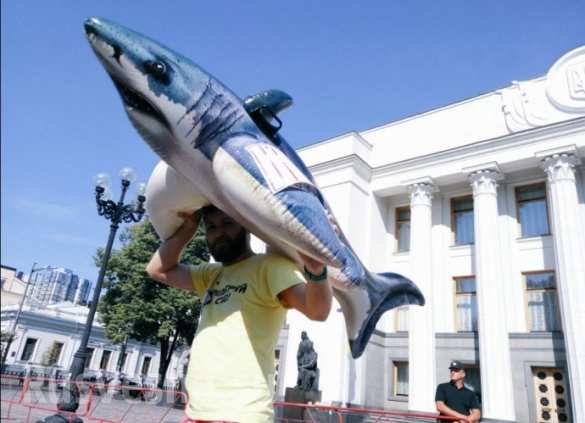 Активисты решили устроить депутатам отпуск прям возле Рады: притащили шезлонги, надувную акулу…