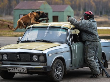 Показательные учения в рамках выставки «Интерполитех» с огненным шоу спецназа