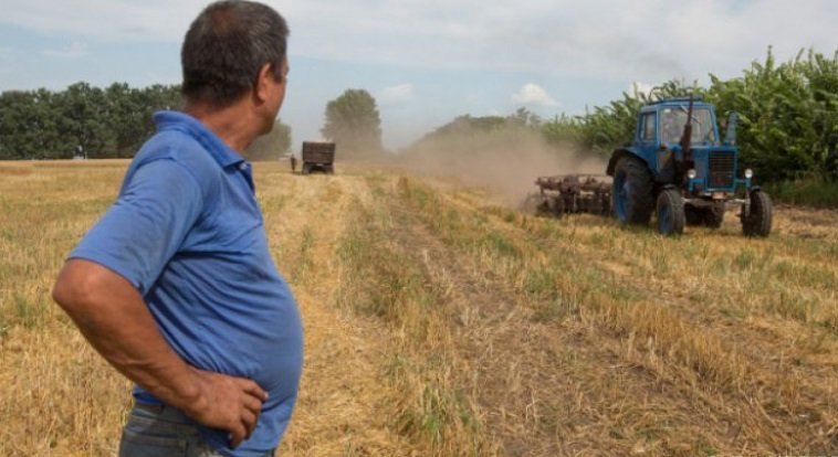 Ровненькие аграрии просят Порошенко восстановить торговлю с Россией